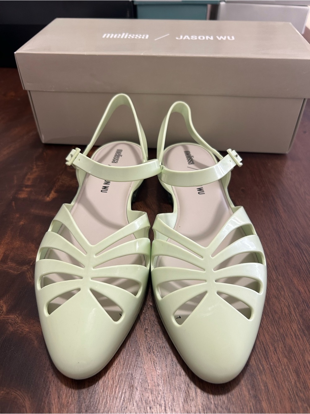 Melissa Jason Wu Dahlia Green Jelly Slingback Flats new in box